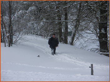 Winterwald